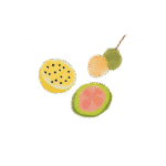 Dibujo de frutas t&iacute;picas de Colombia como el mamoncillo, la pitaya y la curuba.