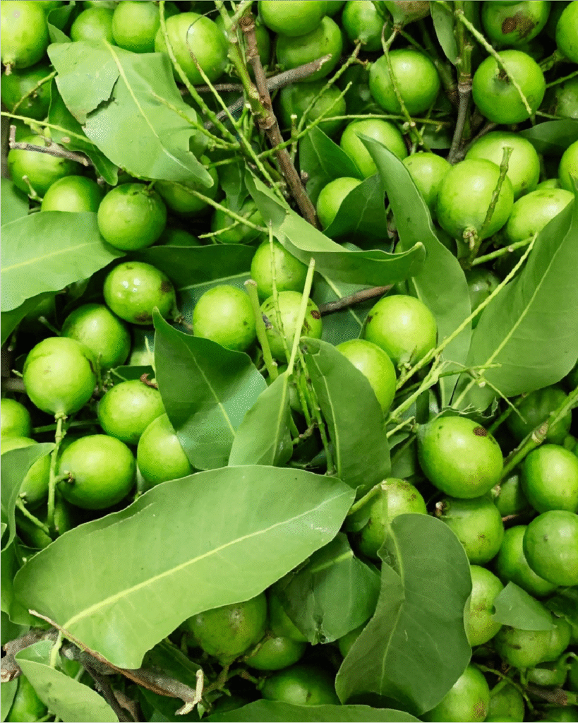 Fotograf&iacute;a de mamoncillos.