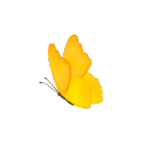 Dibujo de una mariposa amarilla.