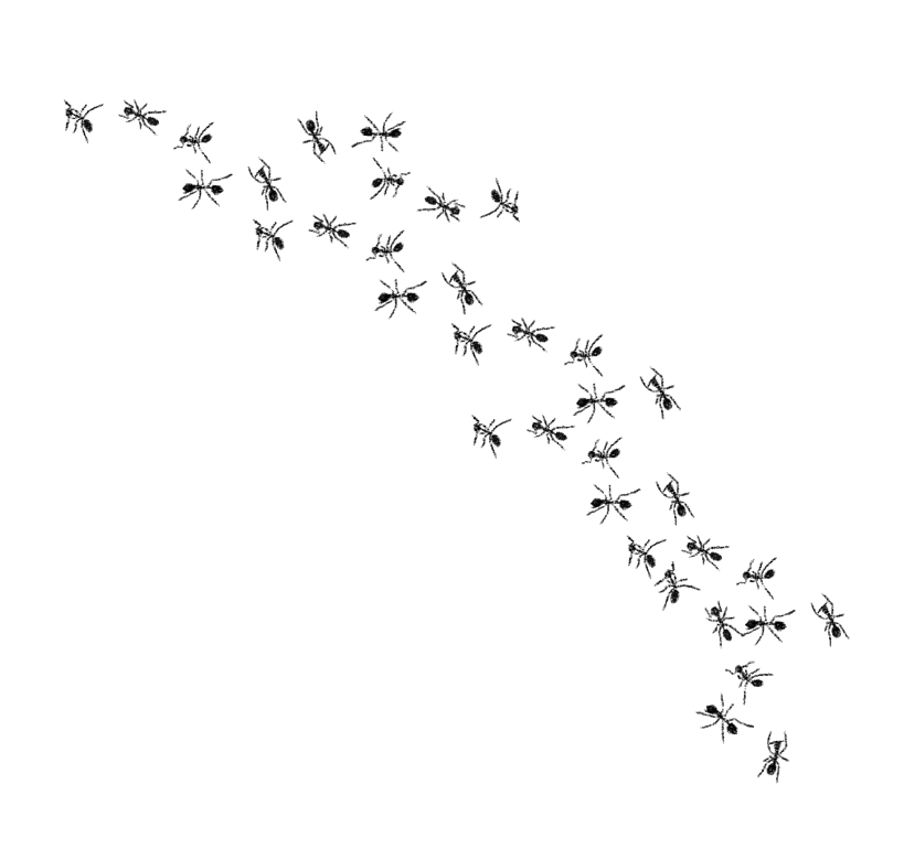 Dibujo de camino de hormigas.